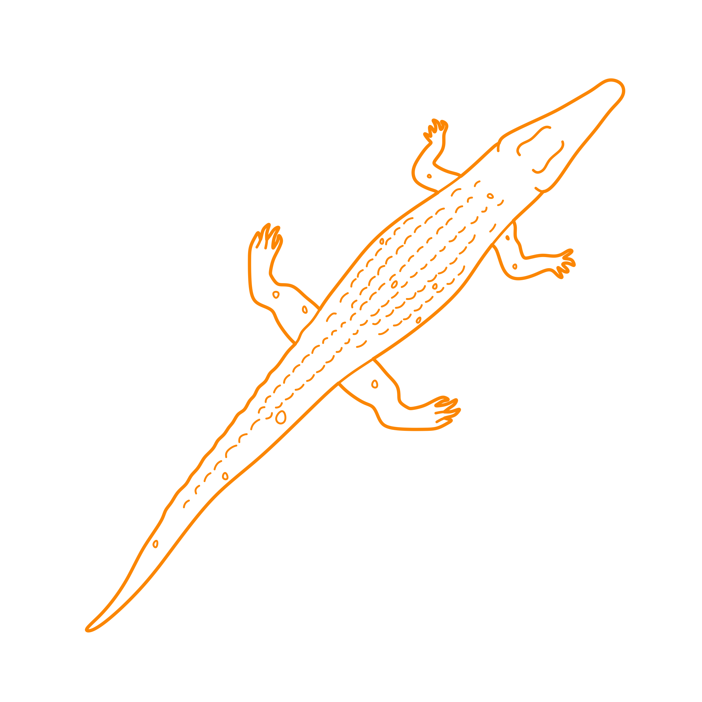 Animals Crocodilians Freshwater Crocodile Craft Design Svg File Free Vectors